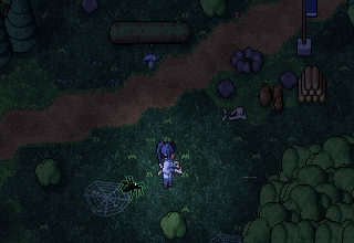 Độc Chu webs in the night forest
